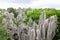 Limestone forest at Kunming Stone forest or Shilin