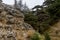 Limestone forground with cedars of Lebanon in the background