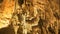 Limestone formations in the cathedral room of lewis and clark caverns