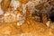 Limestone formations on the wall of an underground cave.