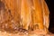 Limestone formations on the wall of an underground cave.