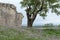 Limestone Fortress Wall with Tree and Flowers, Mountain Landscape View in Background