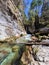 Limestone gorge of the Kamniška bistrica stream