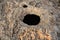 Limestone holes at the area of Dingli Cliffs