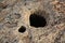 Limestone holes at the area of Dingli Cliffs