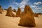 Limestone hoodoos at The Pinnacles