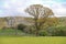 Limestone Landscape - Yorkshire Dales