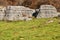 Limestone Monoliths - Karst Erosion Formations Lessinia Italy