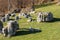 Limestone Monoliths - Karst Erosion Formations Lessinia Italy