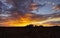 The limestone Nullarbor Plain, evening sunset