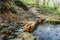 Limestone outcrops on a creek in a ravine