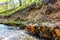 Limestone outcrops on a creek in a ravine