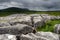 Limestone Pavement