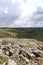 Limestone Pavement above Malham Cove.