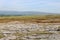 Limestone pavement on slopes of High Pike, Cumbria