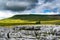 Limestone pavement. Yorkshire Dales National Park