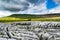 Limestone pavement. Yorkshire Dales National Park