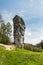 Limestone rock called "Maczuga Herkuklesa" (Hercules cudgel )  in Ojcow National Park near Krakow,Poland