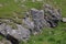 Limestone rocks in the Pennine hills.