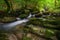 Limestone steps into a river in the Courel Mountains