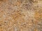 Limestone stone. Decorative effect. Texture. Porous surface. Background.