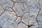 Limestone surface texture with cracks