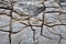 Limestone surface texture with cracks