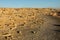 Limestone tubes landscape in Cape Bridgewater, Australia