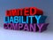 Limited liability company