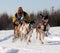 Limited North American Sled Dog Race
