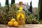 limoncello bottle with cork, surrounded by lemon trees
