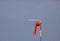 LIMP ORANGE WINDSOCK ON AIRSTRIP