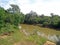 LIMPOPO RIVER IN NORTHERN REGION OF SOUTH AFRICA