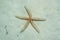 Linckia laevigata starfish on sandy ocean floor