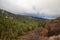 Lincoln National Forest In New Mexico