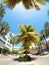 The Lincoln Road shopping boulevard in Miami Beach