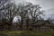 Lincolns new Salem state historic site illinois fenced in lot