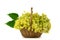 Linden bouquet