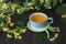 Linden herbal tea on dark background