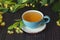 Linden herbal tea on wooden background