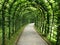 Linden pergola shaded walkway