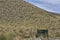 Lindis Pass New Zealand