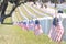 Line of American flags at Golden Gate Cemetery