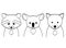 Line art animals on white background. Set of little raccoon, koala and wolf