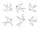 Line art of barn swallows birds in flight