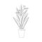 Line art black tropical potted house plant strelitzia isolated on white background.