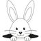 Line art black and white rabbit face hole icon.