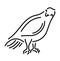 Line art with cartoon decorative smiling pigeon