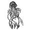 Line Art Cartoon Jellyfish Octopus Deep Sea Creatures Vector
