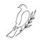 Line art dove. Sitting pigeon logo drawing. Black and white vector illustration. Good for greeting card, banner, flyer